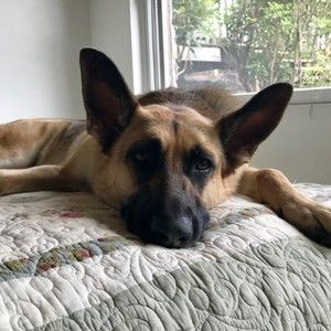 Meet your Posher, Fish